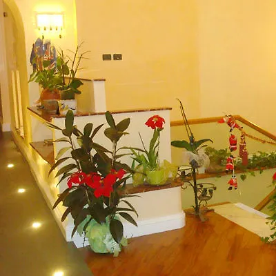 **  Hotel Demetra Capitolina Roma Italia